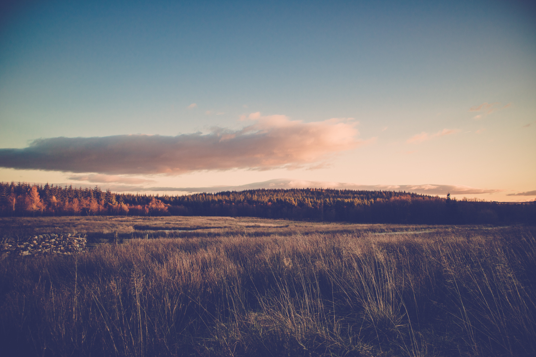 Sunset over autumn forest and field in countryside